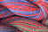 Caron Wildflowers 032 - Passion