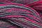 Caron Wildflowers 043 - Aurora