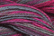 Caron Wildflowers 043 - Aurora