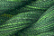 Caron Wildflowers 065 - Emerald