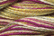 Caron Wildflowers 071 - Ambrosia