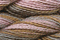 Caron Wildflowers 079 - Cantaloupe