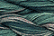 Caron Wildflowers 091 - Blue Spruce