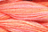 Caron Wildflowers 095 - Flamingo