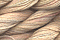 Caron Wildflowers 124 - Sunglow