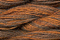 Caron Wildflowers 137 - Copper