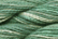 Caron Wildflowers 141 - Alpine Moss