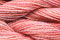 Caron Wildflowers 148 - Rosebud