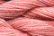 Caron Wildflowers 148 - Rosebud
