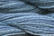 Caron Wildflowers 157 - Polar Ice