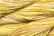 Caron Wildflowers 176 - Golden Grains