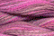 Caron Wildflowers 190 - Fraises du Bois