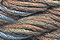 Caron Waterlilies 111 Navajo