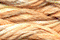 Caron Waterlilies 166 Creamsickle