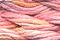 Caron Waterlilies 202 Peach Cobbler
