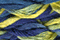 Caron Waterlilies 214 St Tropez