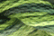 Caron Watercolours 211 - Cucumber