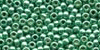 20561 - Economy Pack Ice Green