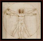 Leonardo - Hombre de Vitruvio