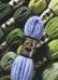 DMC Colbert 7043