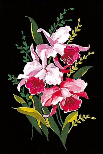 Orquídeas