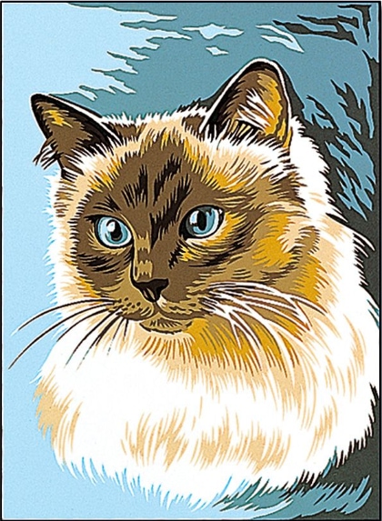 Gato siamés