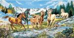 Cabalgata de aguas bravas