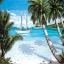Zona tropical