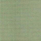 Soporte plastificado (papel): Oliva