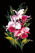 Orquídeas
