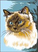 Gato siamés