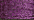 012C Purple Cord (#8)