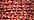 3503 Red Flamenco (#8)