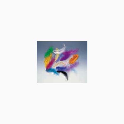 Plumas 14 cm: colores surtidos