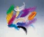 Plumas 14 cm: colores surtidos