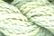 Caron Watercolours 242 - Celery