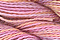 Caron Waterlillies 237 Apple Blossom