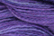 Caron Wildflowers 209 - Iris