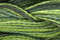 Caron Wildflowers 211 - Cucumber