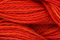 Caron Wildflowers 221 - Bittersweet