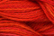 Caron Wildflowers 221 - Bittersweet