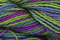 Caron Wildflowers 236 - Appalachia