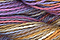 Caron Wildflowers 239 - Wheatfields