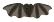1102 - Black Bat