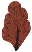 2275L - Large Oak Leaf