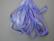 SR4-024 - Blueberry