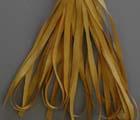 SR4-045 - Lacquered Gold