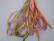 SR4-077 - Fall Foliage