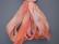 SR4-098 - Peach Blush