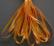 SR4-111 - Bright Orange